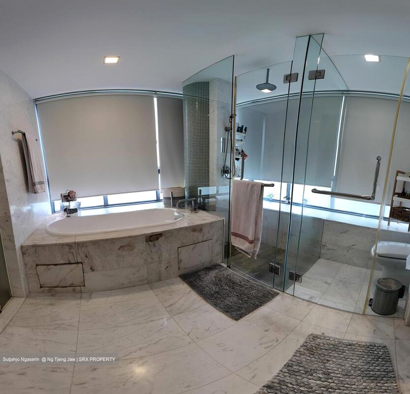 CityVista Residences (D9), Condominium #496027241